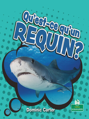 cover image of Qu'est-ce qu'un requin?